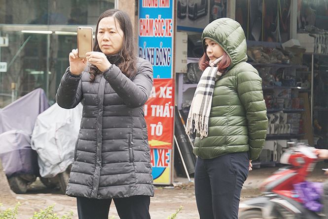 Cặp quất lục bình khủng giá hàng chục triệu ở Hà Nội